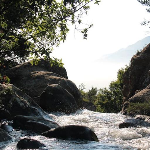 Love’s Greatest Happiness