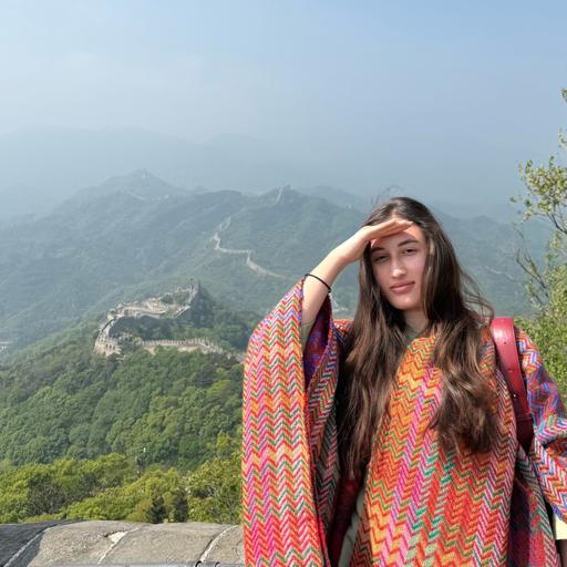 № 174 — Страны, языки, общение с местными