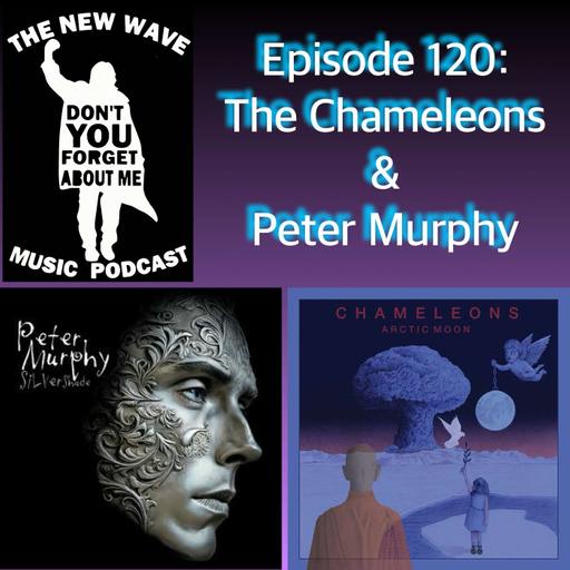 The Chameleons & Peter Murphy