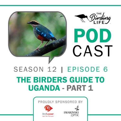 TBL Podcast Season 12 Episode 6 -The Birders Guide to Uganda Part 1