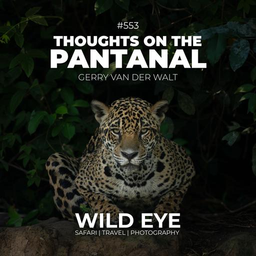 #553 - Thoughts On The Pantanal