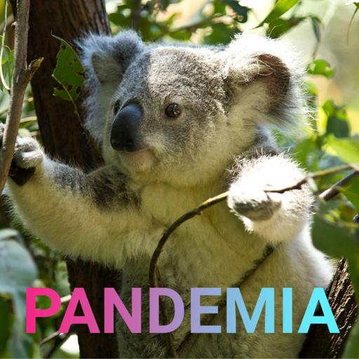 Chlamydien (1) | Sex, Drugs und Eukalyptus