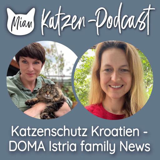 Katzenschutz Kroatien - DOMA Istria family News | MKP000