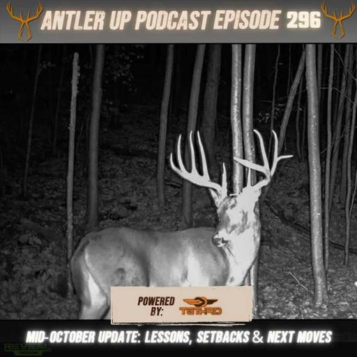 Antler Up - Mid-October Update: Lessons, Setbacks & Next Moves