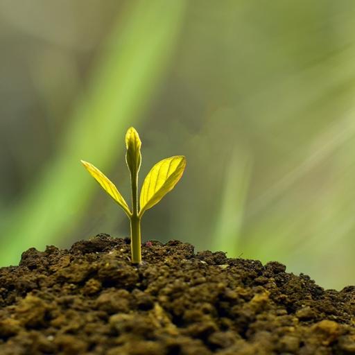 Как Nano Rickki меняет подход к сельскому хозяйству Казахстана