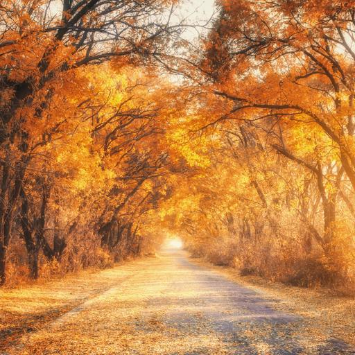 248: Daily Practices for Managing Anxiety