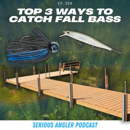 3 Foolproof Patterns to Catch Bass in the Fall Months