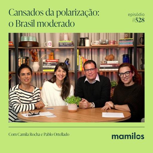 Cansados da polarização: o Brasil moderado