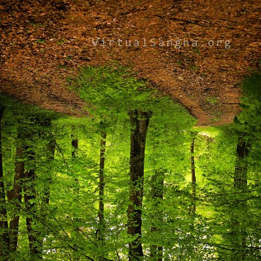 Mike meets Nick-Chöden