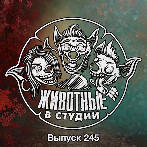 Выпуск 245. Контент из нашей Д****