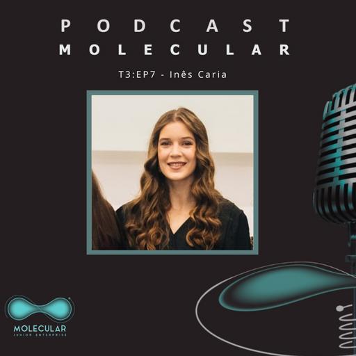 T3:EP7 - Inês Caria