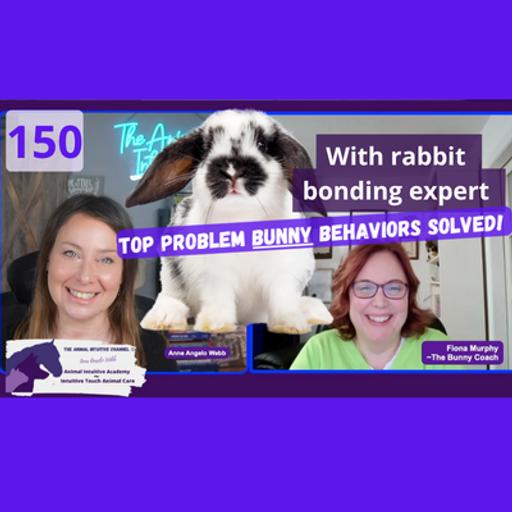 🐇 Unraveling Rabbit Habits: Decoding Chewing, Aggression, Bonding | 150