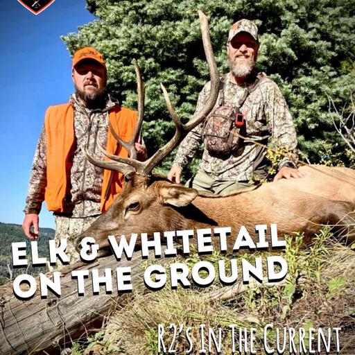 Elk & Whitetail On The Ground - R2's In The Current