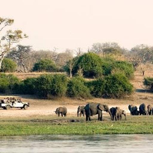 Botswana Safari: From the Makgadikgadi Salt Pans to the Okavango Delta