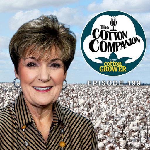 Plant Not Plastic: Cotton Takes On Microplastics and Polyester