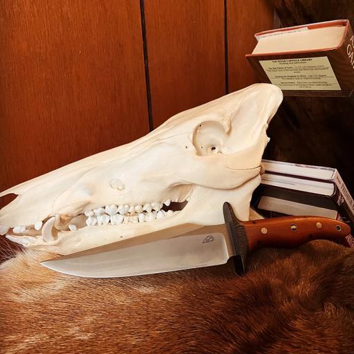 A Knife For Life: Evan Siembida and the Best Hunting Knives in the World