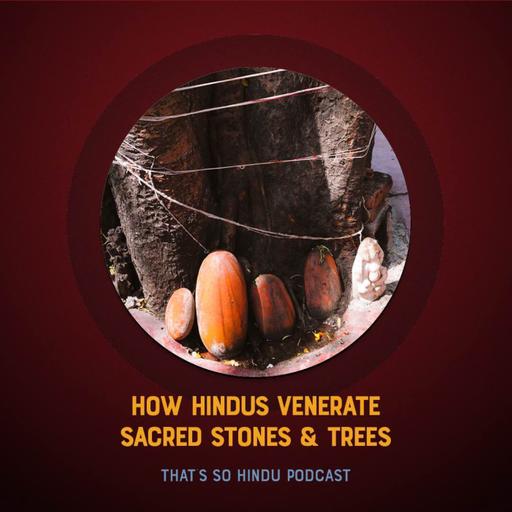 For Hindus the natural world is more than sacred, its embodied Divinity itself | Prof. David Haberman