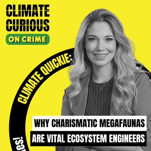 Why charismatic megafaunas are vital ecosystem engineers, with Dr. Julia Shaw