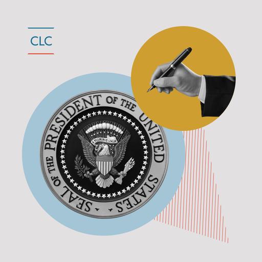 How Democracy Is Impacted by the Expansion of Presidential Power