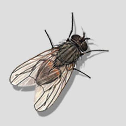 Ep. 130: Joshua Radin