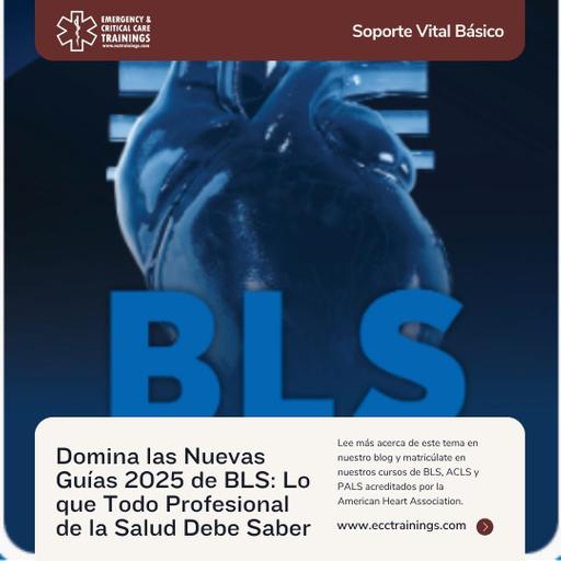Guías 2025 de BLS en Adultos