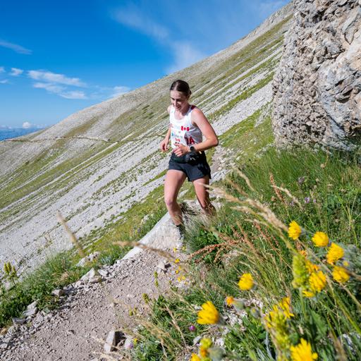 Haley: Young, Speedy, and Wise