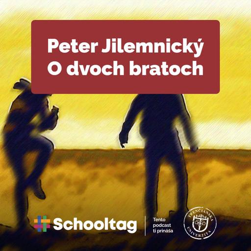 #Čitateľský denník: Peter Jilemnický - O dvoch bratoch
