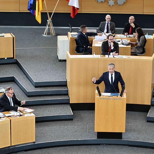 Die AfD und die Anfragen im Thüringer Landtag