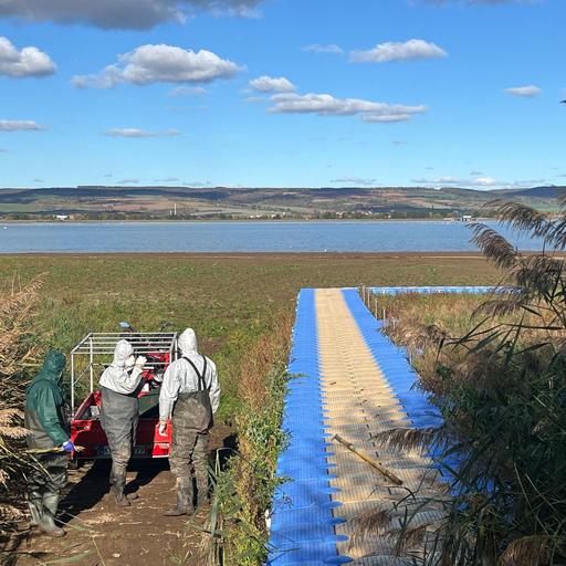 Vogelgrippe: Kyffhäuserkreis im Kampf gegen die Tierseuche