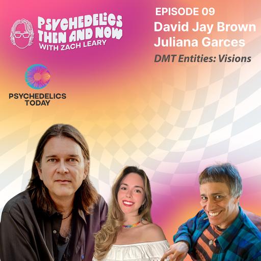 Episode 09 - David Jay Brown and Juliana Garces: DMT Entities: Visions