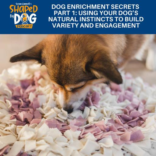 Dog Enrichment Secrets Part 1: Using Your Dog's Natural Instincts To Build Variety And Engagement #314