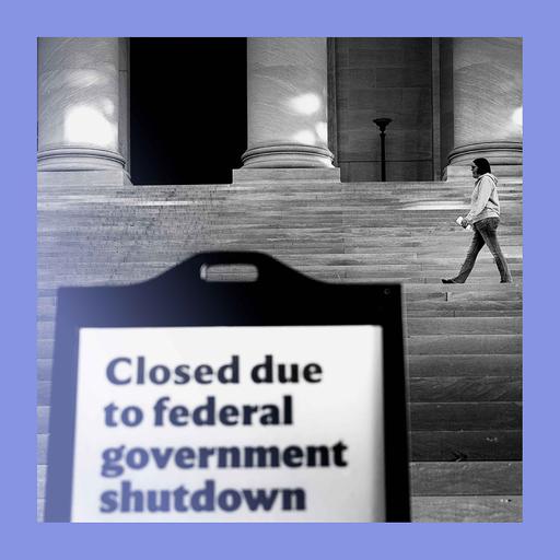 Shutting match: what will break the US federal impasse?