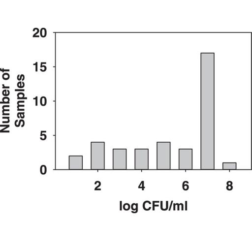 841. Watered Down Hand Soap