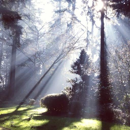 Christ Is Like Sunlight