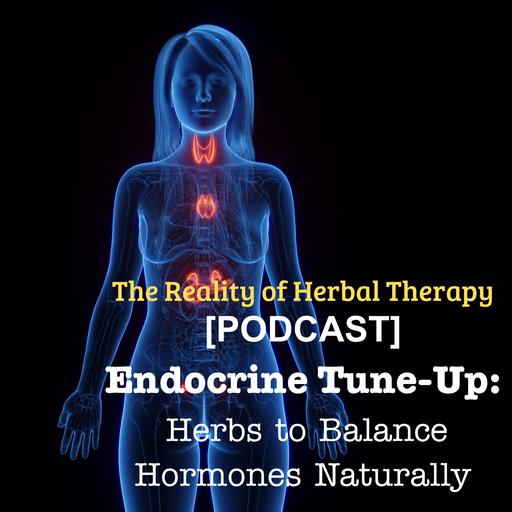 Endocrine Tune-Up: Herbs to Balance Hormones Naturally