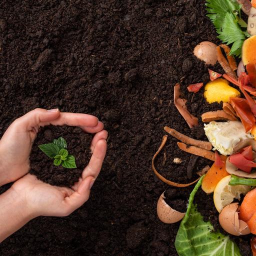 The great food rescue