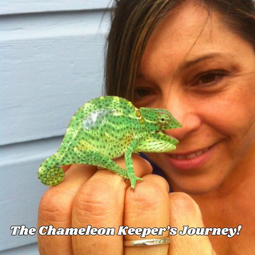 The Chameleon Keeper's Journey