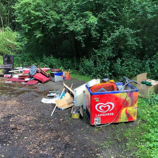 Städte in Sachsen leiden unter illegal entsorgtem Müll