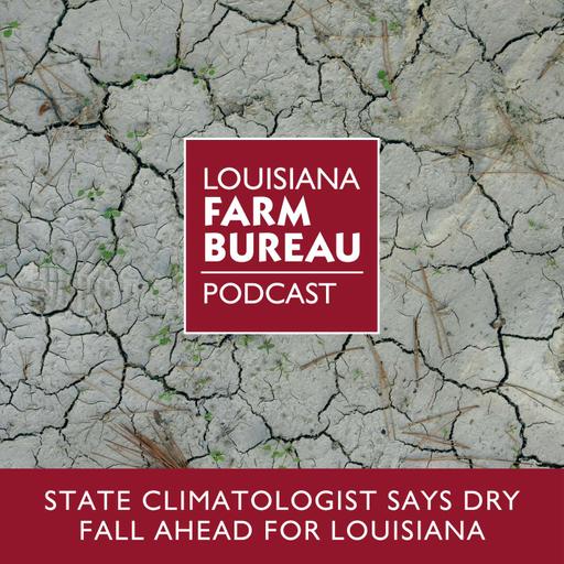 State Climatologist Says Dry Fall Ahead For Louisiana