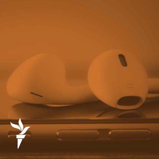 Первые, но не последние. С кого начали большевики?
Историк Борис Беленкин рассказывает о первых политических арестах при советской власти.