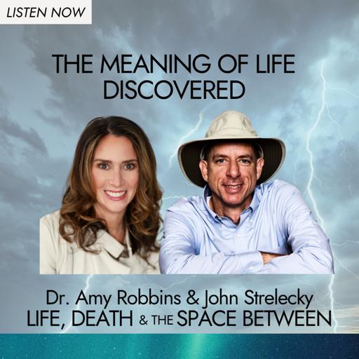 The Meaning of Life Discovered