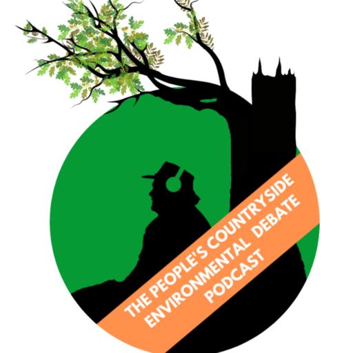 Immigration Distraction