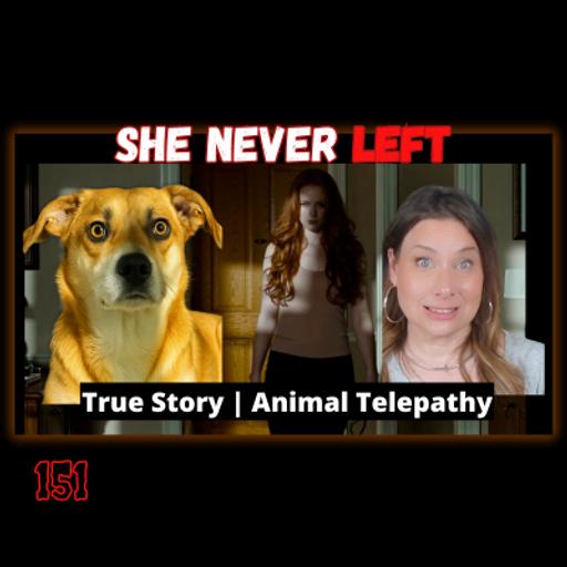 🎃 Is Your Dog Seeing Things You Can’t? Find Out! + Special Halloween Offer | 151