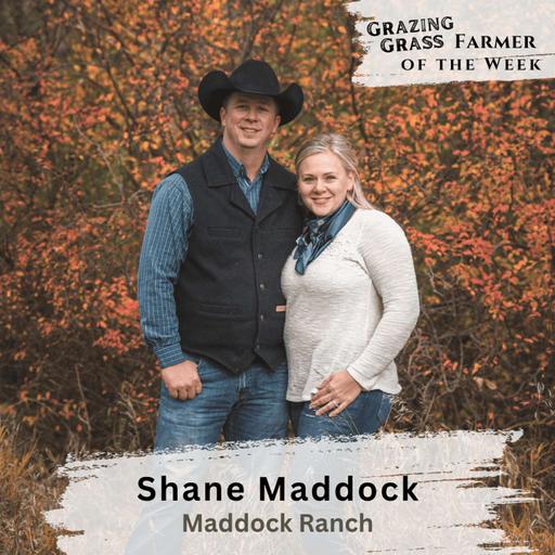 194. Grazing Smarter in North Dakota with Fourth Generation Rancher Shane Maddock
