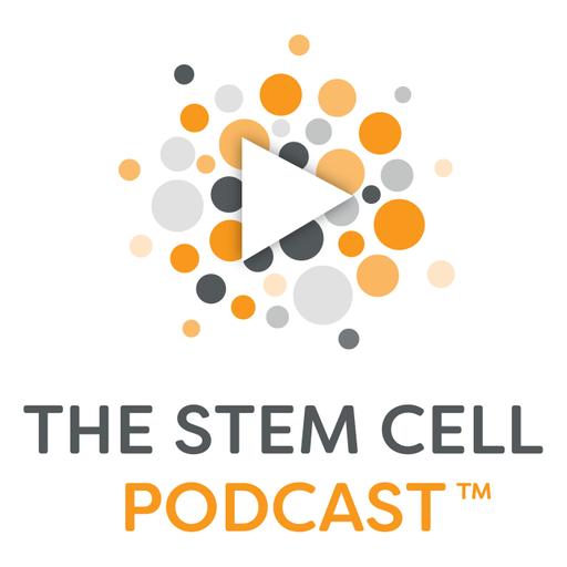 Ep. 307: “Vascular Biology” Featuring Dr. Juan Melero-Martin