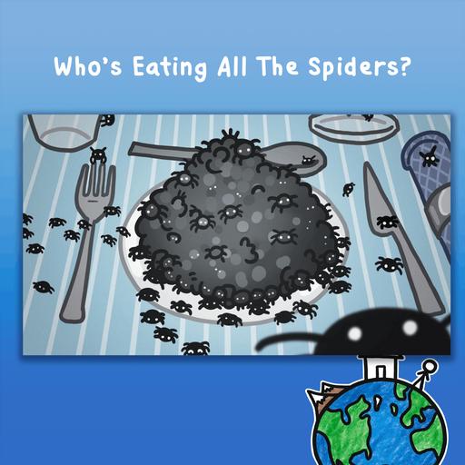 Who’s Eating All The Spiders?