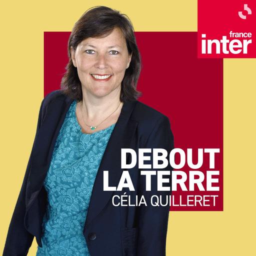 Les robes noires, stars des batailles environnementales ?