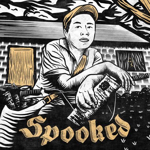 The Paperboy - Classic