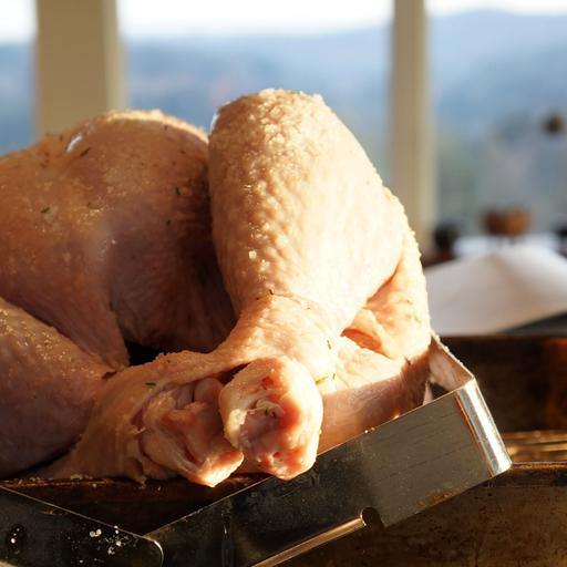 Thanksgiving show SAMPLER