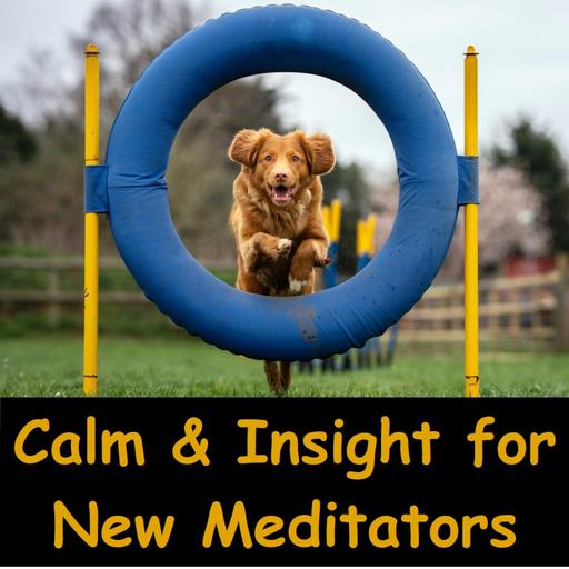 Calm and Insight: Advice to New Meditator | New to Meditation | Samatha & Vipassana | Ajahn Dhammasiha
